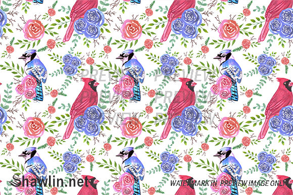 Cardinals and Bluejays Roses