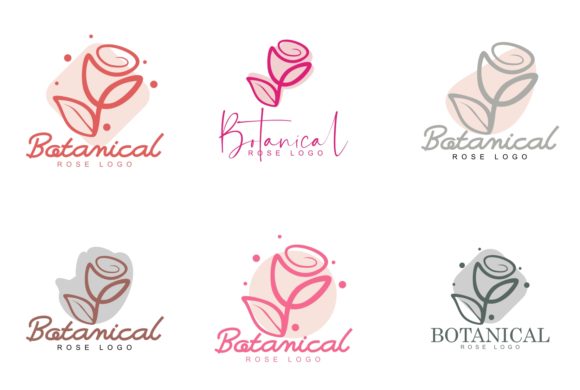 Hand Drawn Rose Botanical Logo and Logos